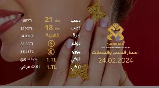 سعر غرام الذهب في تركيا السبت 24-02-2024 - سعر الليرة التركية امام الدولار اليوم