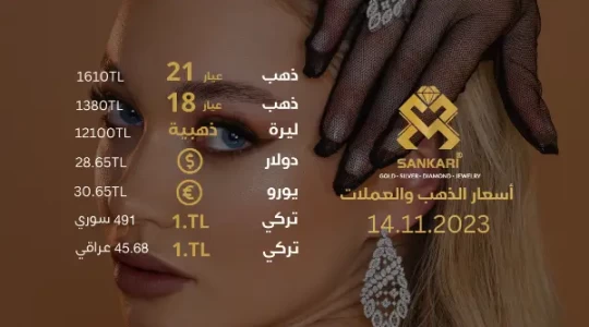 سعر غرام الذهب يوم الثلاثاء 14-11-2024 - سعر الليرة الذهب